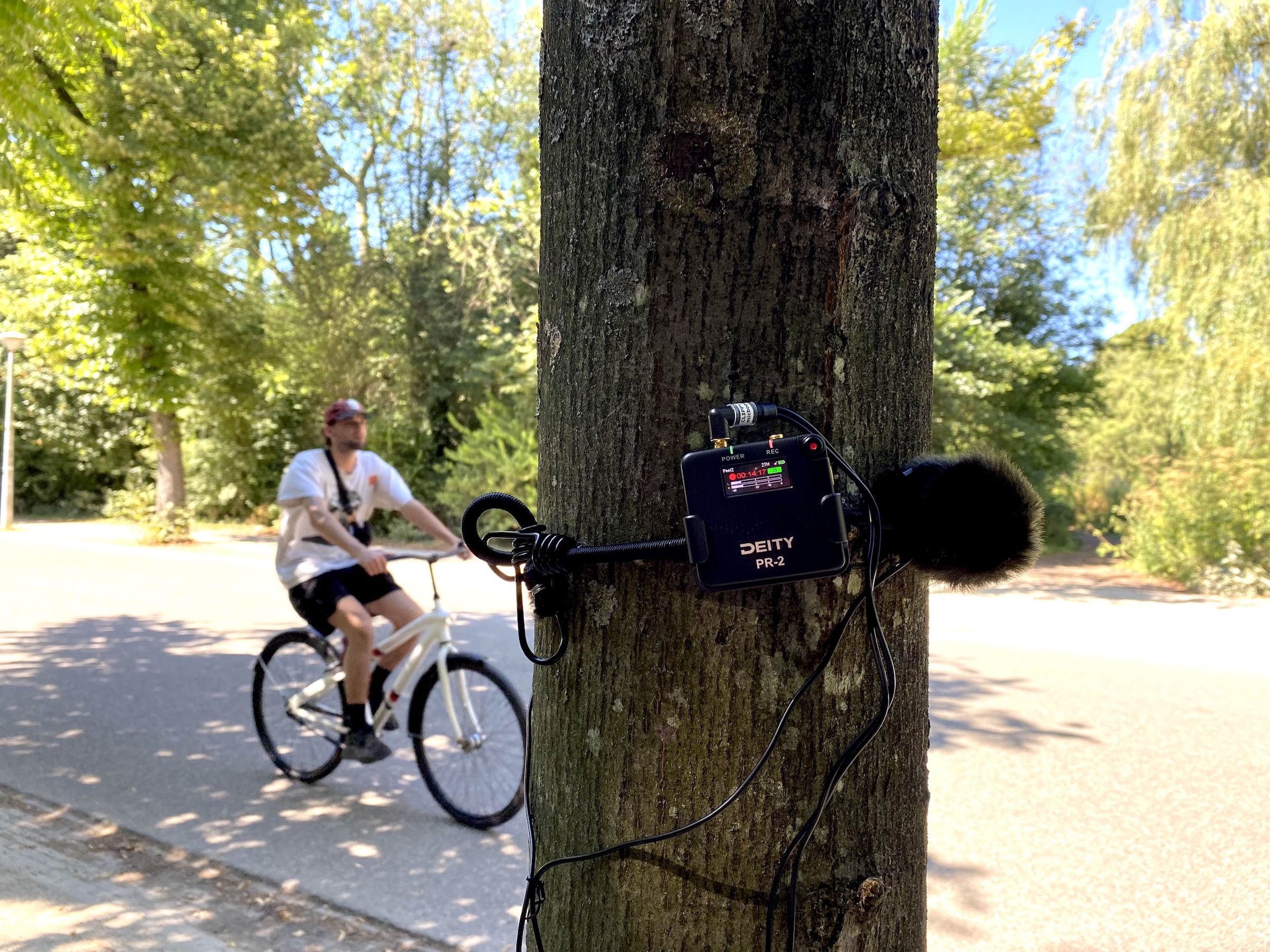 2024 08 12 – Amsterdam – Vondelpark – Audio Ears