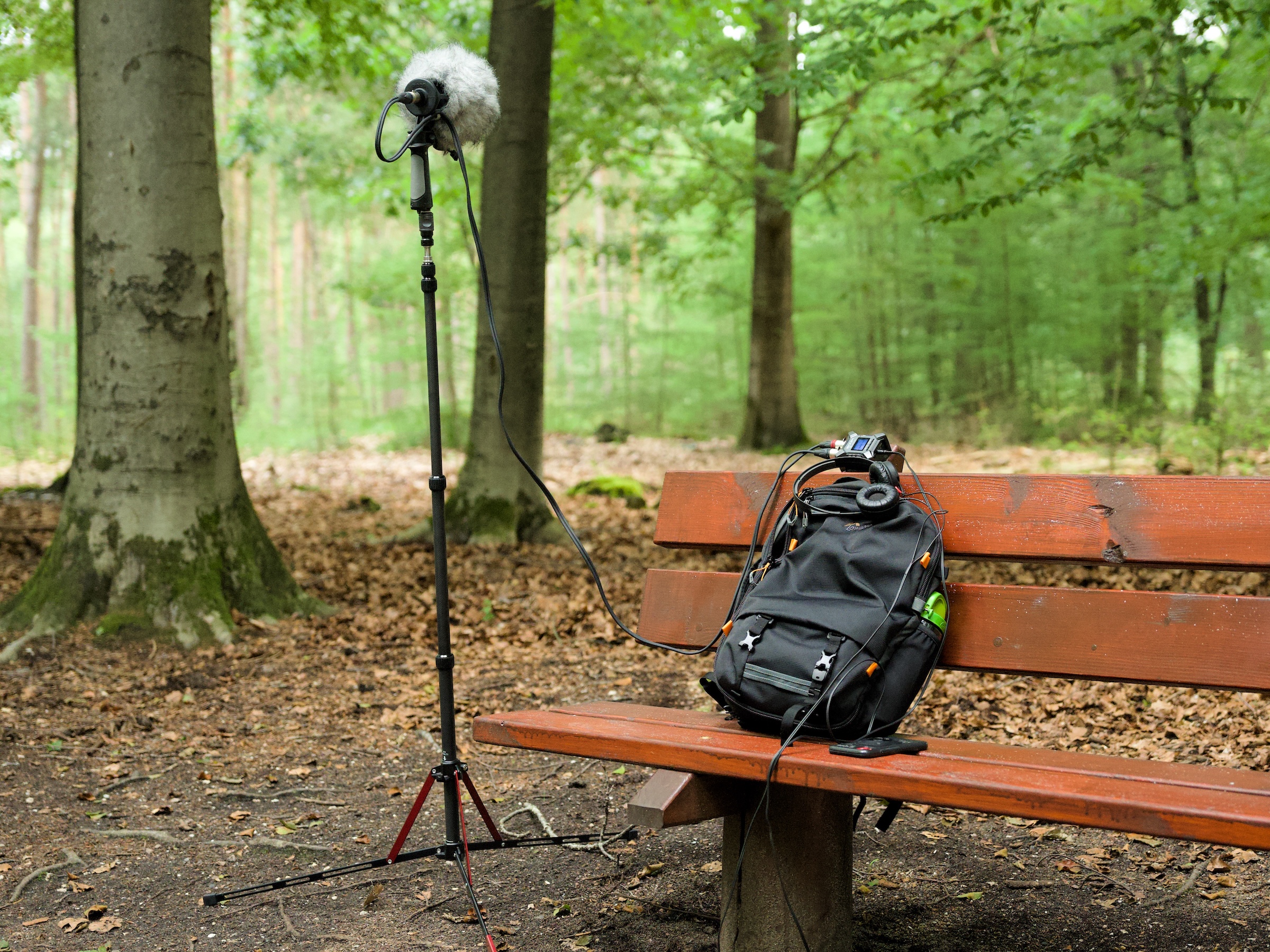 2023 08 10 – Epe – Forrest Bench Sounds – Stereo