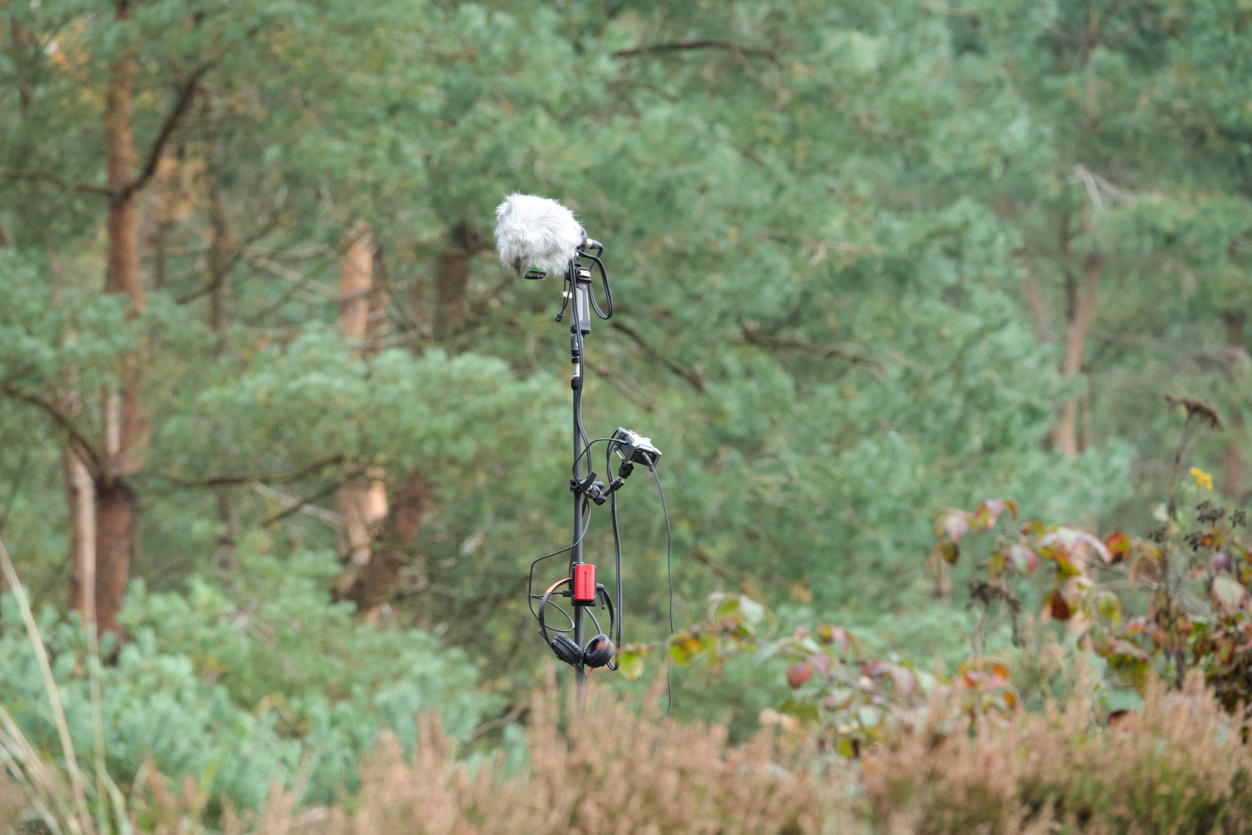 2025 10 08 – Epe – Nature and Artillery – Stereo